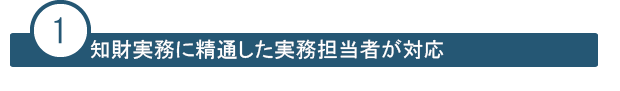 知財実務に精通した弁理士のみが対応